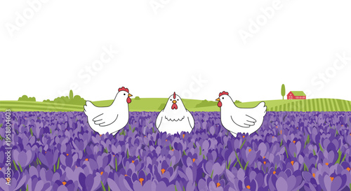 Three white chickens are situated in a field of purple crocus flowers with green hills and a red barn in the background.