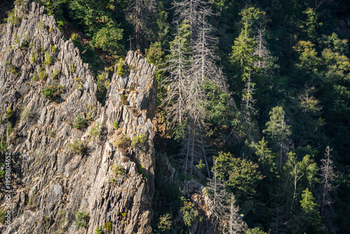 Raues Steinmassiv im Bodetal Thale