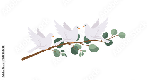 Three pristine white doves are perched gracefully on a slender brown branch with round light green eucalyptus leaves against an off-white background.