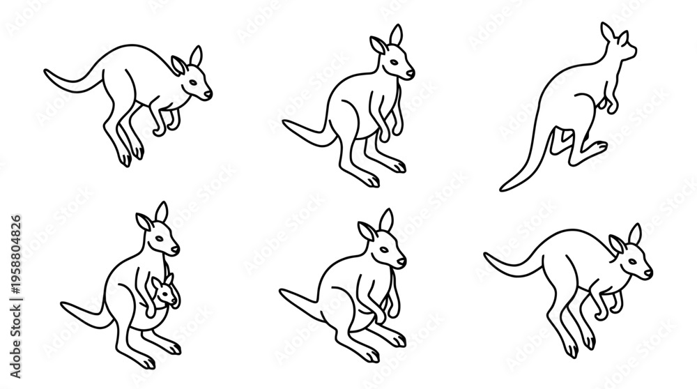 Obraz premium kangaroo , 6 black line isometric 3d vector collection , white background , PNG and SVG isolate