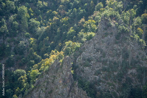 Grüne Wälder im Bodetal im Harz