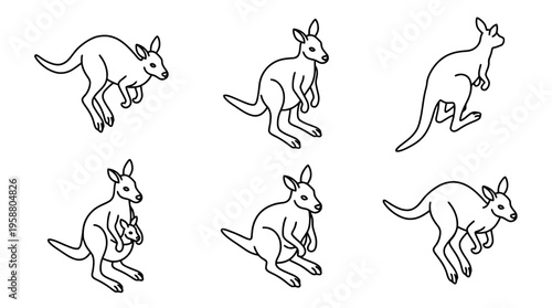 kangaroo , 6 black line isometric 3d vector collection , white background , PNG and SVG isolate