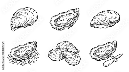 oyster , 6 black line isometric 3d vector collection , white background , PNG and SVG isolate