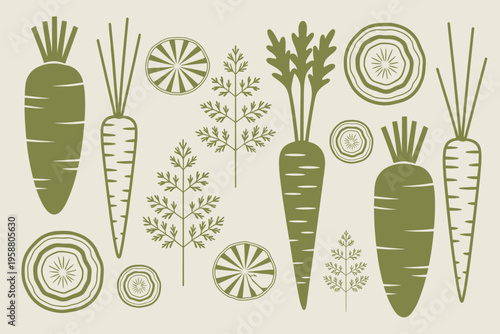 Green carrots and sliced citrus fruits pattern vegetable