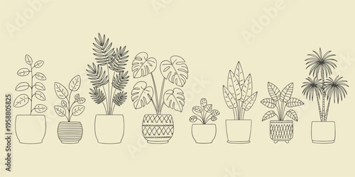 Line potted plants collection on beige background houseplants