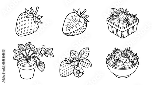 strawberry , 6 black line isometric 3d vector collection , white background , PNG and SVG isolate