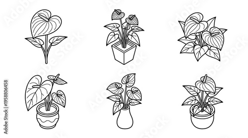 anthurium , 6 black line isometric 3d vector collection , white background , PNG and SVG isolate