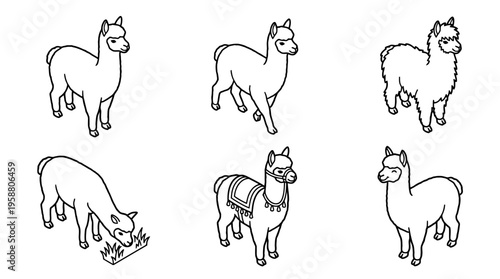 alpaca , 6 black line isometric 3d vector collection , white background , PNG and SVG isolate