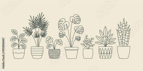 Line of various potted houseplants on beige background