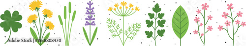 Stylized botanical vector illustration featuring clover, dandelion, lavender, dill, parsley, leaf, and wildflowers on decorative background