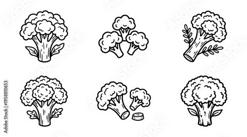 broccoli line vector set. black color sketches style on white background. Vector illustration.