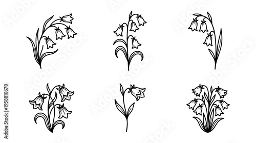 bluebell line vector set. black color sketches style on white background. Vector illustration.