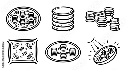 chloroplast line vector set. black color sketches style on white background. Vector illustration.