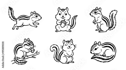 chipmunk line vector set. black color sketches style on white background. Vector illustration.