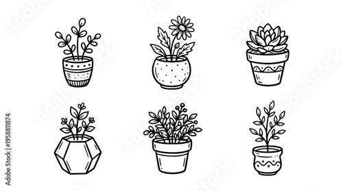 flower pot line vector set. black color sketches style on white background. Vector illustration.
