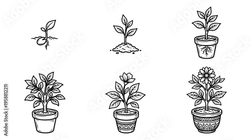 growth plant line vector set. black color sketches style on white background. Vector illustration.
