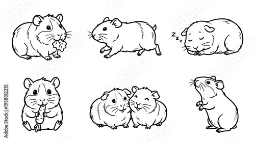 guinea pig line vector set. black color sketches style on white background. Vector illustration.