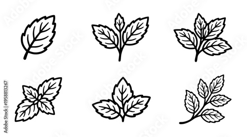 mint leaf line vector set. black color sketches style on white background. Vector illustration.