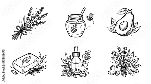 natural product line vector set. black color sketches style on white background. Vector illustration.