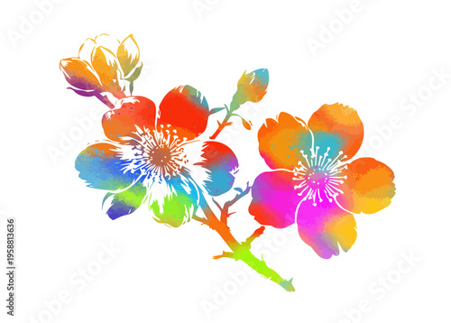 Cherry branches with flowers, colored sakura isolate on white background. Hand drawn. Not AI, vector illustration.