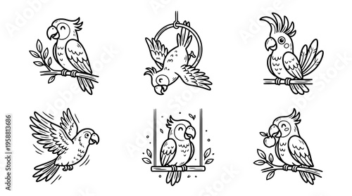 parrot line vector set. black color sketches style on white background. Vector illustration.