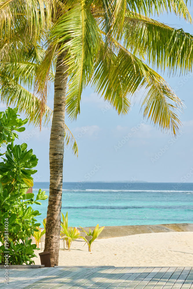 Fototapeta premium Classic Maldives island landscape on a sunny day, sea view through the palm tree and the beach, coastal luxury resort buildings, azure water, white sand, palm trees on the shore