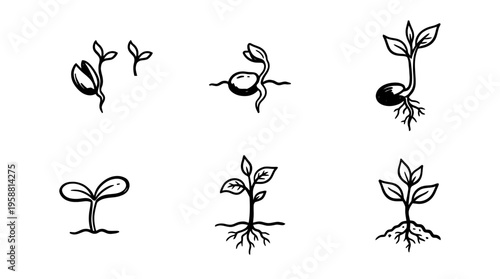 seed sprout line vector set. black color sketches style on white background. Vector illustration.