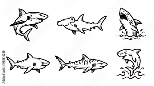 shark line vector set. black color sketches style on white background. Vector illustration.