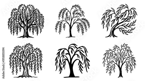 willow tree line vector set. black color sketches style on white background. Vector illustration.