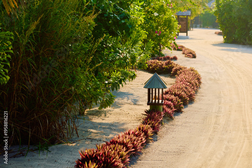 Fotografie the territory of a luxury resort in the Maldives surrounded by greenery at sunse