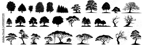 Vektor Silhouetten Set - Bäume - Design Elemente Natur