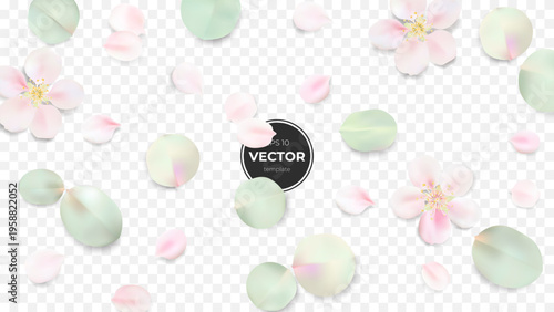 Delicate pastel flower and leaf petals scattered on a soft background.