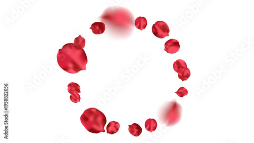 A circle of delicate red rose petals on a clean white background.
