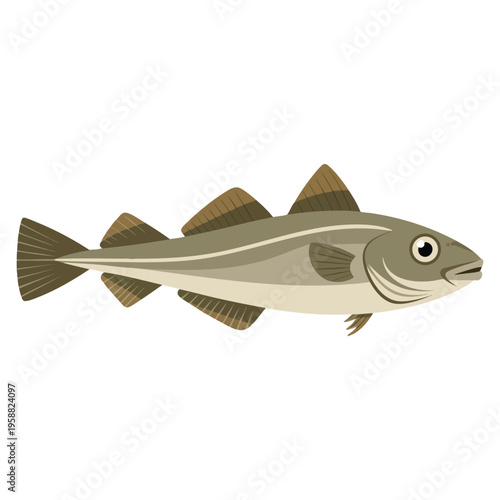 Sea fish codfish created as vector illustration, perfect for marine biology themes and aquatic life artwork