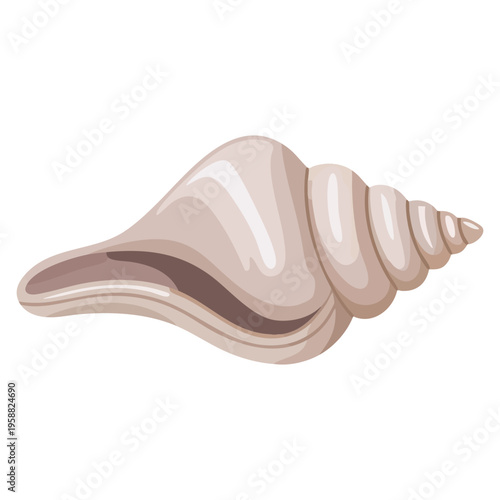 Snail shell isolated icon vector illustration natural spiral design element suitable for marine biology nature wildlife and decorative themes