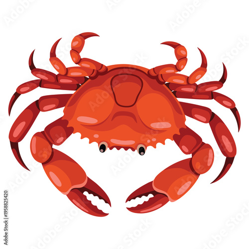Vector crab isolated on white background with additional crab vector on sand color background, suitable for wallpaper, coastal themes, and design elements