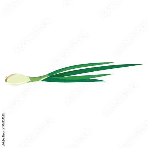 Vector illustration of onion and vegetables logo set of onion and leaf stock symbol for web ideal for organic food market farm and healthy eating themes