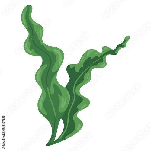 Vector illustration of underwater seaweed spirulina aquatic marine plant suitable for ocean and superfood themes