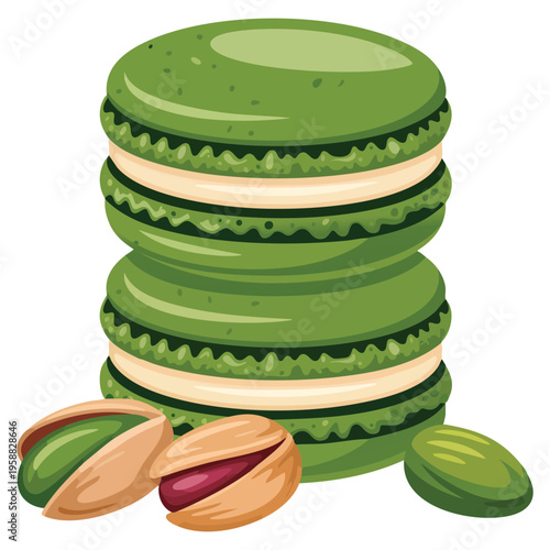 Vector yummy French dessert macarons with pistachio flavor and pistachio nuts around, sweet bakery illustration for cafe and confectionery themes