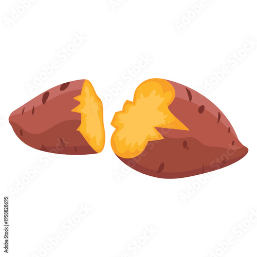 Vegetable sweet potatoes illustration design element suitable for healthy diet farming organic produce market packaging and nutrition themed visuals