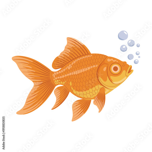 Goldfish swimming in a glass bowl isolated on a white background