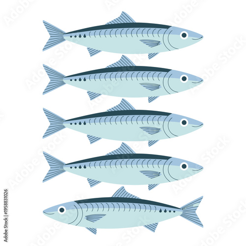 Fresh isolated fish on white background vector illustration