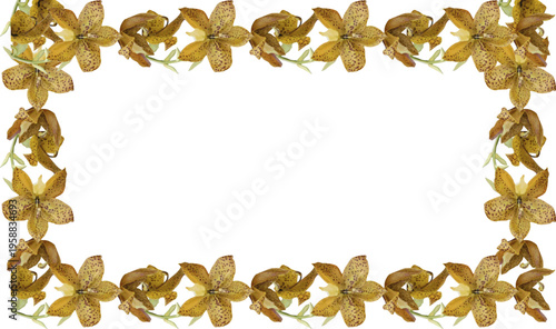 Exotic Yellow Spotted Orchid Floral Frame Border on White Isolated Background