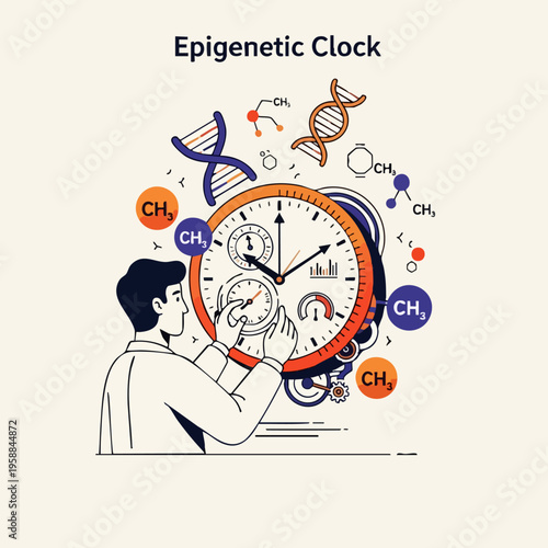 Scientist studies epigenetic clock concept.