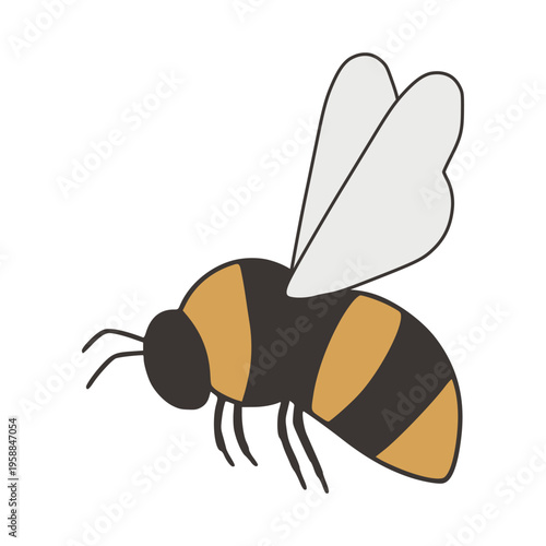 Flying honey bee insect wildlife conservation illustration