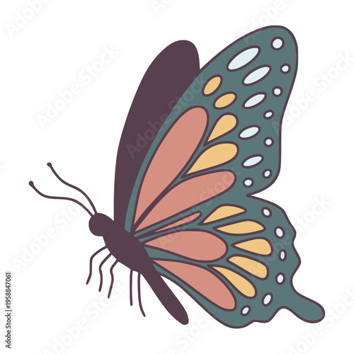 Butterfly flying with colorful decorated wing patterns