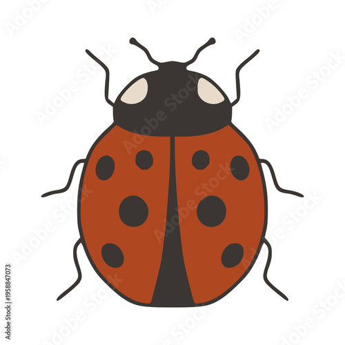 Ladybug insect vector drawing representing nature and spring