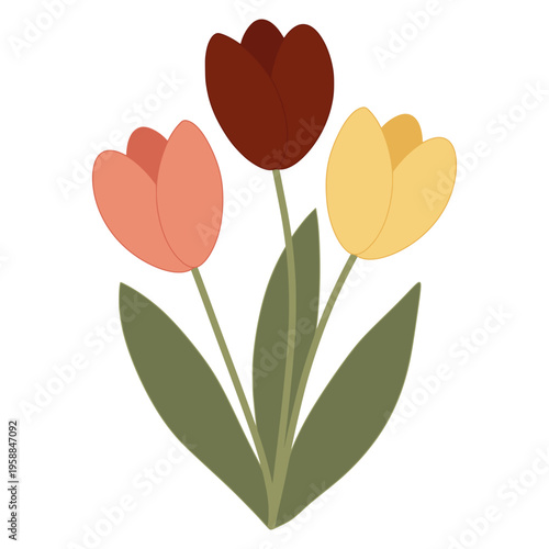 Three colorful tulips floral graphic design element