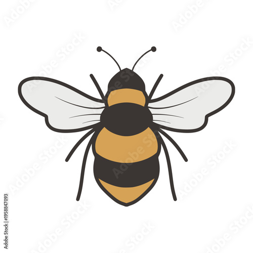 Bee drawing with striped body and transparent wings