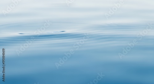 Beautiful Pink Water Lily in Calm Pond with Gentle Ripples Zen Floral Landscape for Wellness and Holistic Health